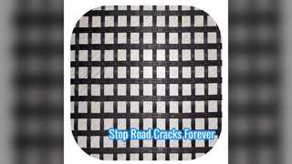 Glasvezel Geogrid wegversterkingsoplossing