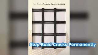Glasvezel Geogrid-wegversterking en scheurpreventie