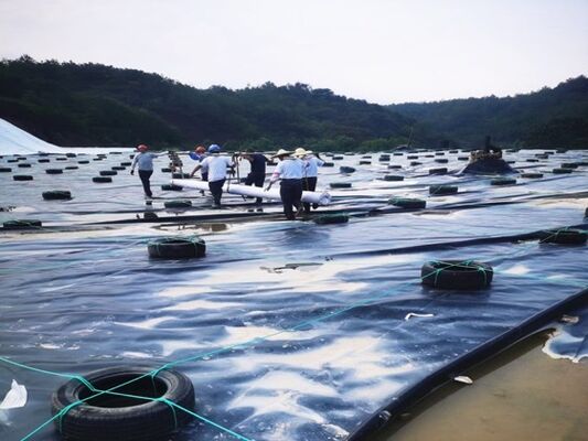 1.5 mm HDPE-geomembrane-liner met gespecialiseerde chemische weerstand voor uitlogingspads voor mijnbouwhopen