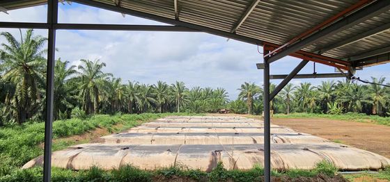 Excellent Chemical Resistance Filter Bags Featuring Circumference 12.6m and 15.7m Designed for Industrial Air Filtration