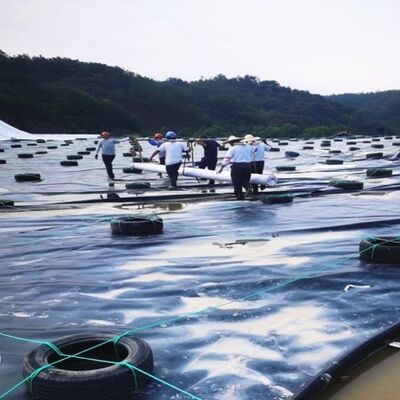 Low Permeability Black HDPE Geomembrane Liner for Secondary Containment Systems