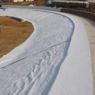 200g 250g Nadelvlies Polyester Non-woven Geotextiel voor Keermuur Drainage