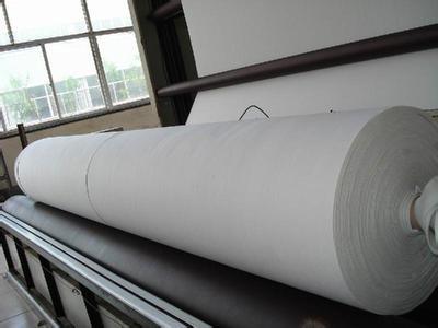 Geotextiel met een hoge sterkte van PET, geperst met een naald van korte vezels
