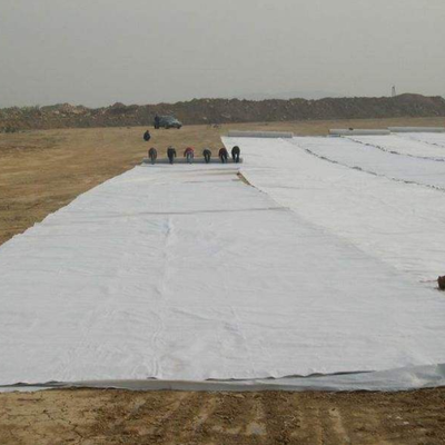 Naaldvilt non-woven geotextiel kussenonderlaag voor vijverfolies