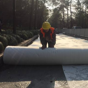 Naaldvilt non-woven geotextiel kussenonderlaag voor vijverfolies