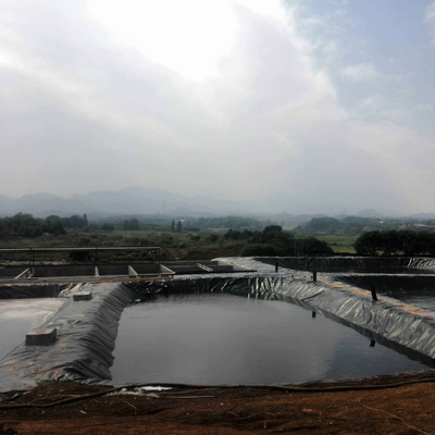 Commercial Aquaculture Waterproof Membrane Pond Liner For Shrimp And Fish Farming Containment
