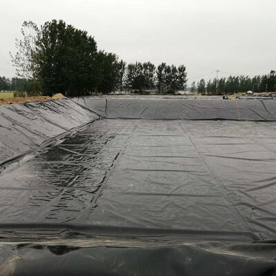 Gasdichte HDPE-geomembraanvoering voor landbouwbiogasvergisterafdekking