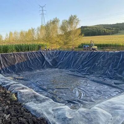 HDPE-geomembraanvoering voor het opvangen van regenwater voor ondergrondse opslag