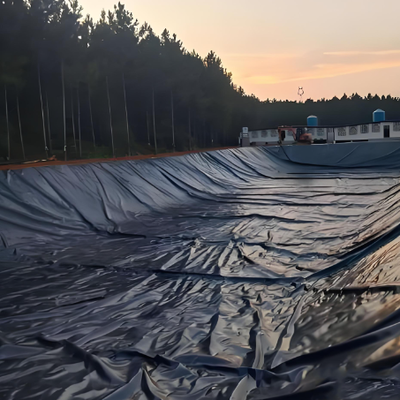 Zwarte HDPE-geomembraanvoering voor zoutwatergarnalen en visvijvers