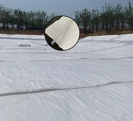 Niet Geweven van de het Verkeerstunnel van Stoffen Samengestelde Geomembrane de Bouwisolatie