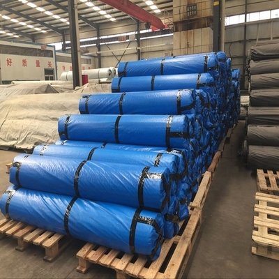 De Glasvezel Geogrid van de wegoprijlaan voor het Net van de Grintoprijlaan 50kn 80Kn 100kn Geo voor Oprijlaan