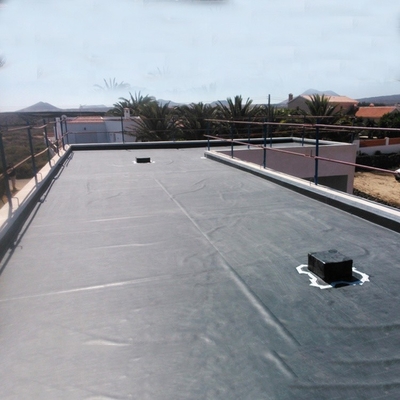 1mm 2mm LDPE Geomembrane het Meertank van Voerings Kunstmatige Waterdichte Geomembrane