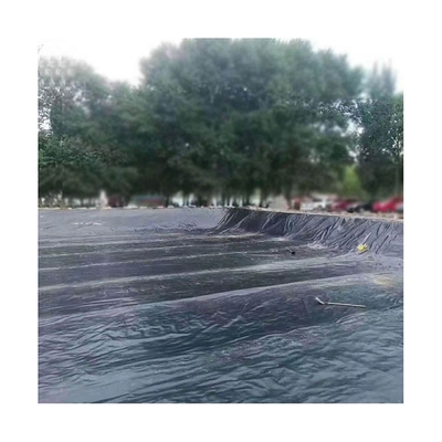 Geosyntheticstortplaats Geomembrane 0.1mm 3mm 8mm met Vlotte Oppervlakte