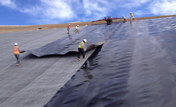 0.2mm van het de Voeringsdak van pvc Geomembrane van de de Stortplaatspool HDPE van de de Tankvijver Damvoering