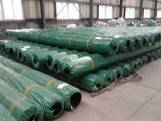 Mijnbouwhdpe van de Voerings Anti-oxyderende Geomembrane van Geomembrane de Vijvervoering