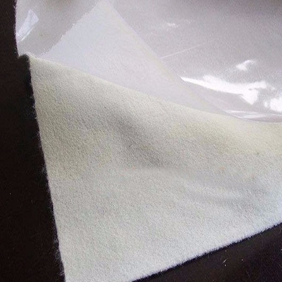 0,75 1.5mm 3mm Vlotte Samengestelde Geomembrane HDPE de Tunnelstortplaats van het Voeringsbroodje