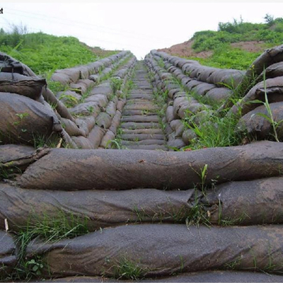 Milieuprojecten Niet-geweven Geotextile Geobag met Zaden