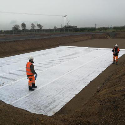 Naald Geslagen Pp of Huisdieren niet Geweven Geotextile voor Milieubescherming