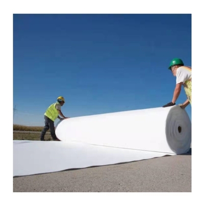 Naald Geslagen Pp of Huisdieren niet Geweven Geotextile voor Milieubescherming