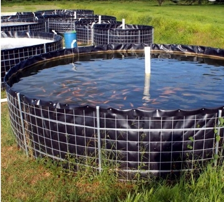 Vlotte de Voeringsdikte 0.2~3mm van Oppervlaktepvc Geomembrane voor Garnalenvissen het Voeden