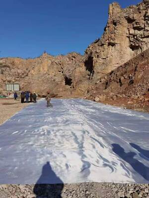 5Geweven geotextielstof met een breedte van 0,2 m, een treksterkte van 50 tot 1200 KNm en een doorboordingssterkte van 12 KN of meer